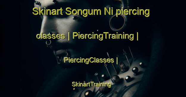 Skinart Songum Ni piercing classes | PiercingTraining | PiercingClasses | SkinartTraining-Republic of Korea